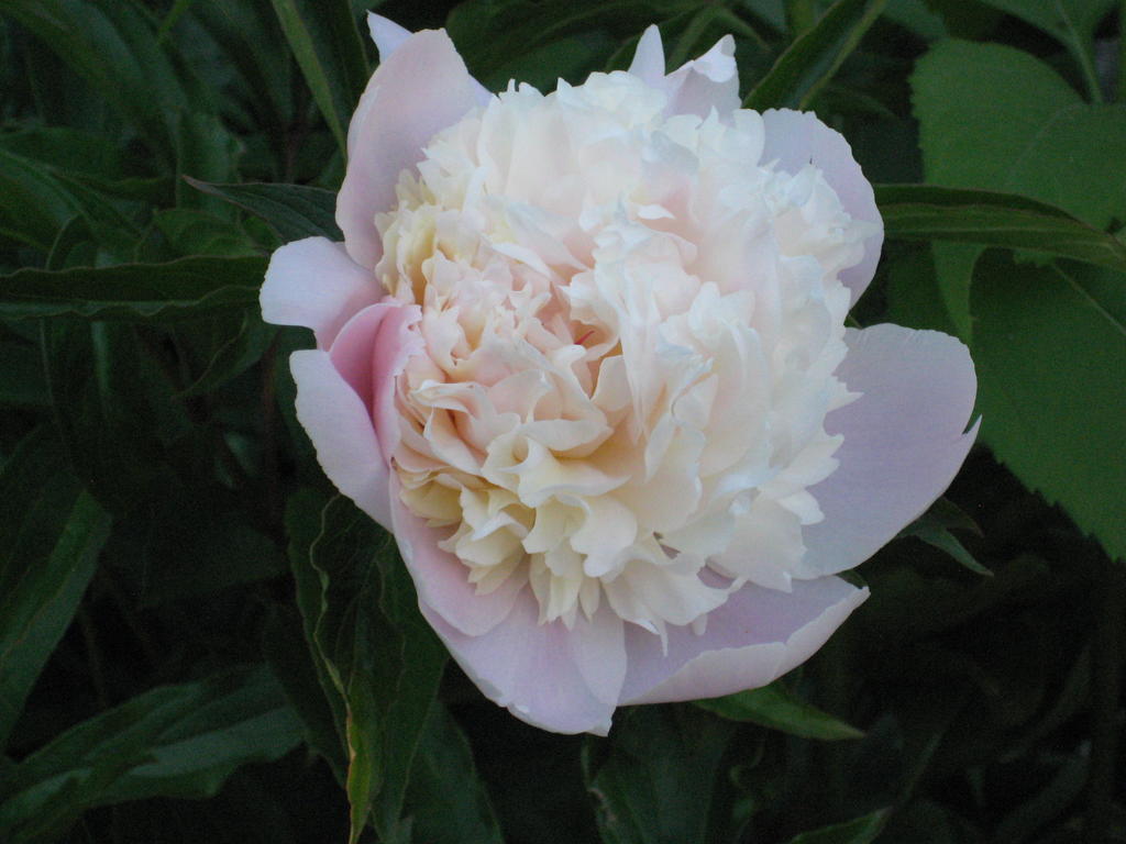 Kathrein * Reutte